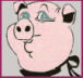 pig